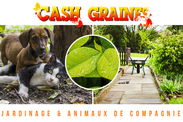 JARDINERIE CASH GRAINES NORD ET CASH GRAINES SUD PERPIGNAN RIVESALTES CLAIRA CABESTANY POLLESTRES ST-ESTEVE