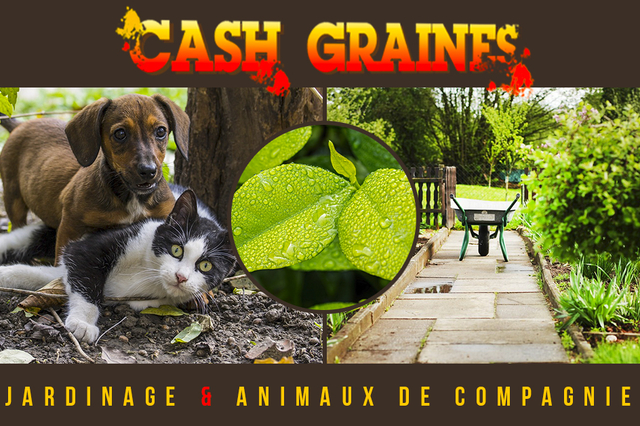 OU TROUVER UNE ANIMALERIE A PERPIGNAN CHEZ CASH GRAINES NORD - CASH GRAINES SUD - PERPIGNAN - CABESTANY - RIVESALTES - CLAIRA - THUIR - POLLESTRES -...
