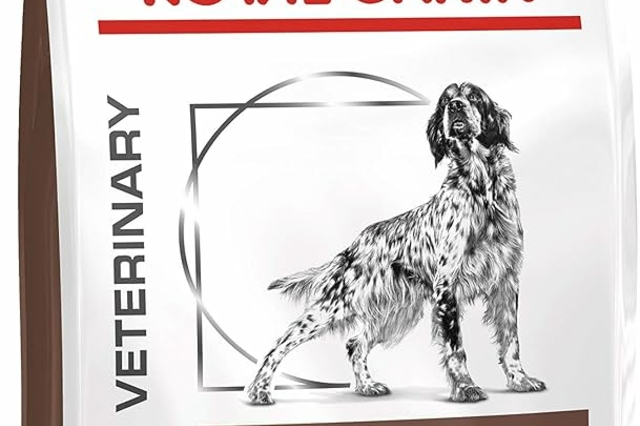 ROYAL CANIN DOG GASTRO INTESTINAL 15KG