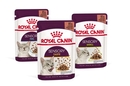 ROYAL CANIN SENSORY  -  CASH GRAINES SUD - CASH GRAINES NORD - LE BOULOU - CERET - THUIR - CLAIRA - RIVESALTES