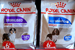 Remise immédiate en caisse sur Croquettes chien Royal Canin à Perpignan