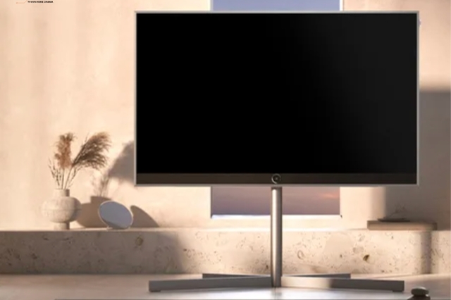 TV LOEWE STELLAR Chez Connecté!  DES POSSIBILITÉS ILLIMITÉES DE VISIONNAGE ET D'ENREGISTREMENT SIMULTANÉS
