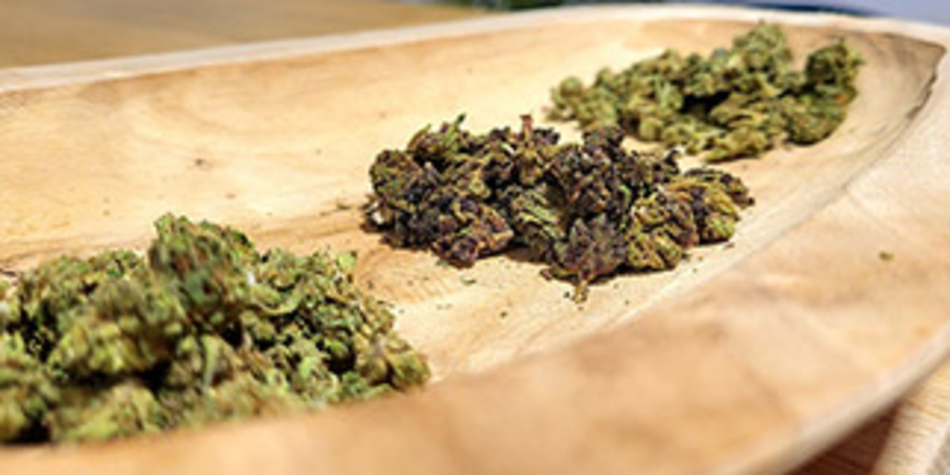 Deli Hemp Perpignan, boutique CBD avec du chanvre bio