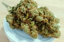FLEURS CBD PAS CHER QUALITE PERPIGNAN - CANET - ARGELES - SAINT CYPRIEN - POLLESTRE CHEZ DELI HEMP PERPIGNAN LA FAUCEILLE