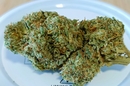 FLEURS CBD PAS CHER QUALITE PERPIGNAN - CANET - ARGELES - SAINT CYPRIEN - POLLESTRE CHEZ DELI HEMP PERPIGNAN LA FAUCEILLE