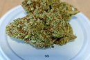 FLEURS CBD PAS CHER QUALITE PERPIGNAN - CANET - ARGELES - SAINT CYPRIEN - POLLESTRE CHEZ DELI HEMP PERPIGNAN LA FAUCEILLE