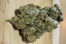 Deli Hemp Perpignan, boutique CBD et chanvre bio qui vend des fleurs de CBD