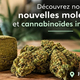 Nouveautés de DeliHemp Perpignan, boutique CBD à Perpignan.
