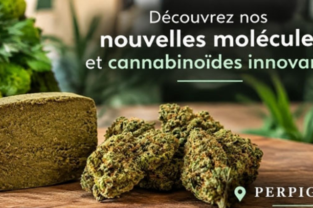 Nouveautés de DeliHemp Perpignan, boutique CBD à Perpignan.