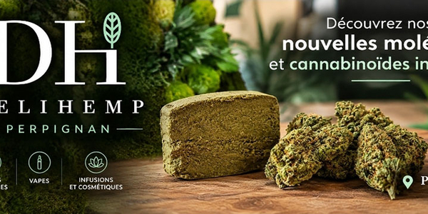 Nouveautés de DeliHemp Perpignan, boutique CBD à Perpignan.