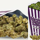 Deli Hemp Perpignan boutique CBD • CBD spécifique pour Halloween Deli Hemp Perpignan boutique CBD • CBD spécifique pour Halloween