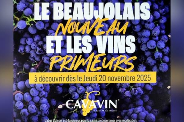 Cavavin Perpignan • Beaujolais nouveau • Muscat de Noël