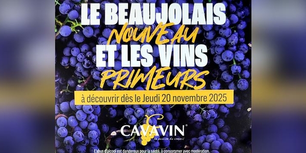 Cavavin Perpignan