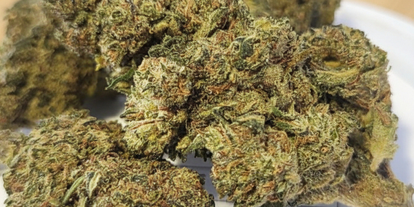 Deli Hemp Perpignan  Perpignan annonce de nouvelles fleurs CBD premium.
