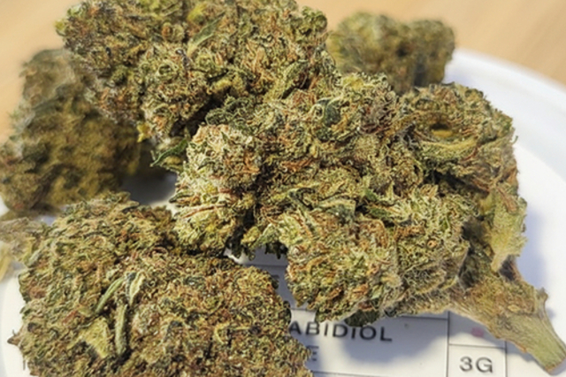 Delihemp Perpignan annonce de nouvelles fleurs CBD premium.