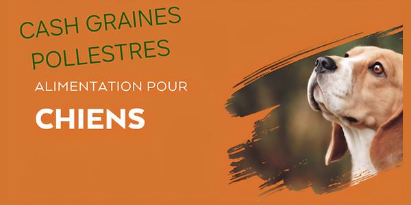  Cash Graines Sud Pollestres vend la marque de croquette Nature's Variety.