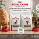 Cash Graines Perpignan vend des croquettes Royal Canin pour vos chiens et chats à St Estève et Pollestres.