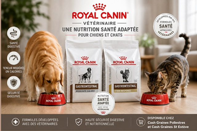 Cash Graines Perpignan vend des croquettes Royal Canin pour vos chiens et chats à St Estève et Pollestres.