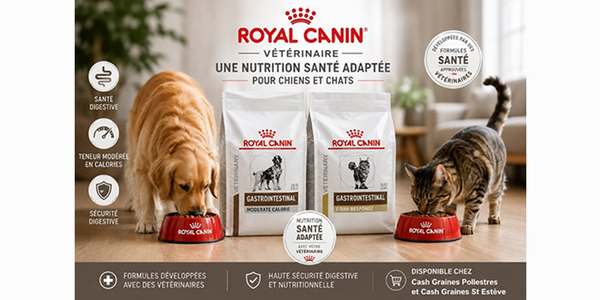 Cash Graines Perpignan vend des croquettes Royal Canin pour vos chiens et chats à St Estève et Pollestres.