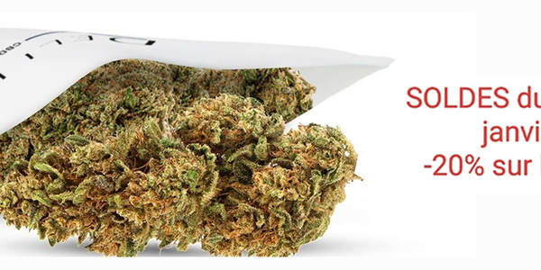 Deli Hemp Perpignan, boutique CBD • remise de -20% sur tout le CBD jusqu'au 21 janvier 2026