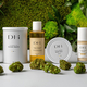 Deli Hemp Perpignan, boutique de CBD annonce des soldes à -20% sur tout le magasin.