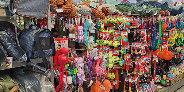 Cash Graines Sud et Cash Graines Nord, animaleries à Perpignan • cadeaux de Noël tendance pour chien ou chat.