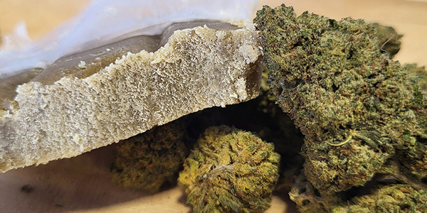 Deli hemp Perpignan est un CBD shop 