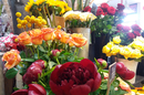 Rev’en Fleurs Cabestany Fleuriste artisan qui réalise des bouquets sur mesure et des décorations florales (® rev en fleurs)