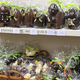 Chocolats de Pâques chez Torrons Vicens Perpignan à découvrir en boutique(® torrons vicens) Chocolats de Pâques chez Torrons Vicens Perpignan à découvrir en boutique(® torrons vicens)